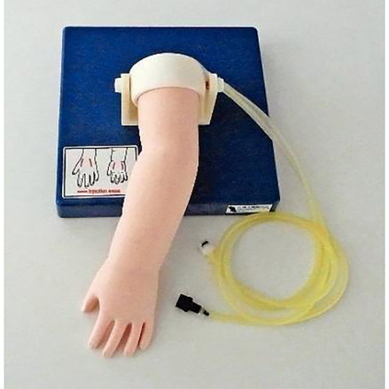 Pediatric IV Hand Model, Set of 4