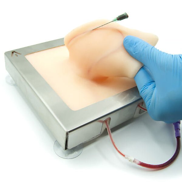 Pig Ear Venipuncture and Catheter Training Model