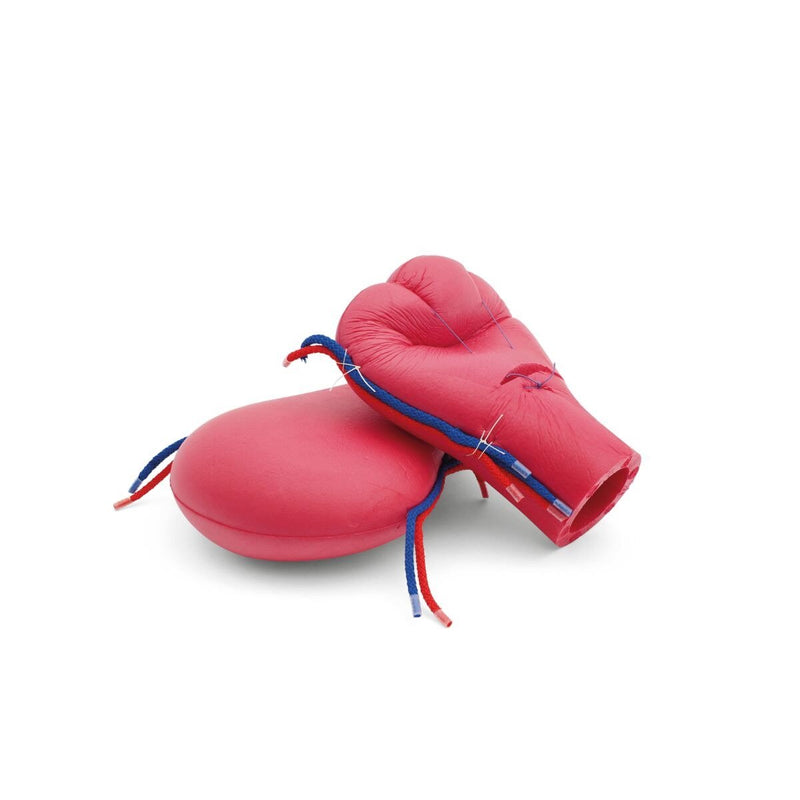 Postpartum Hemorrhage Module for Birth Simulator P90, Light Skin