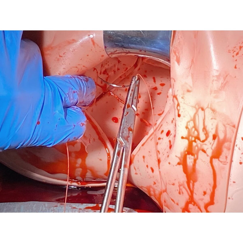 Postpartum Hemorrhage Module for Birth Simulator P90, Light Skin