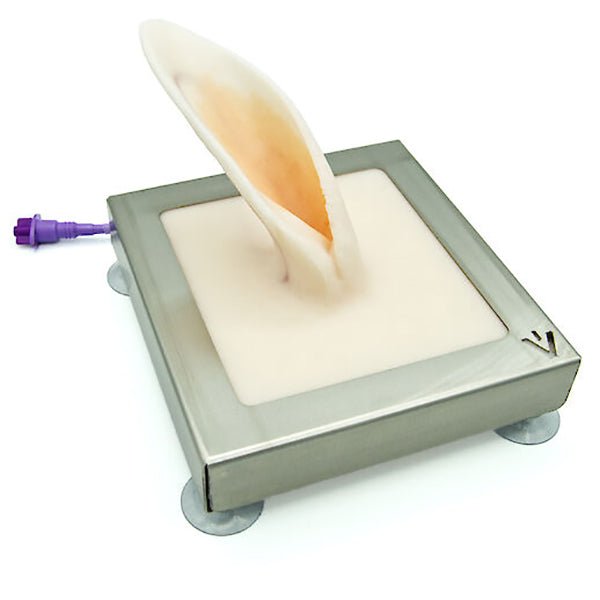 Rabbit Ear Venipuncture and Catheter Training Model – GTSimulators.com