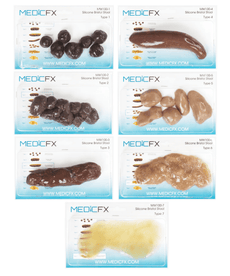 Realistic Bristol Silicone Stool Chart for Medical Training and Examination