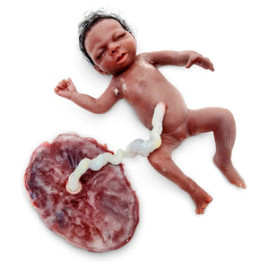 Realistic Preemie Birthing and Nursing Care Simulator 'Baby Lulu' with Umbilical Cord and Placenta
