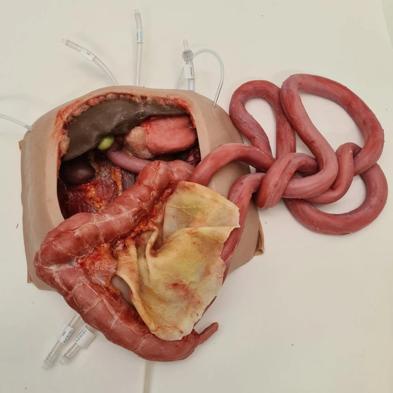 Realistic Surgical Abdominal Training Model for Medical Procedures
