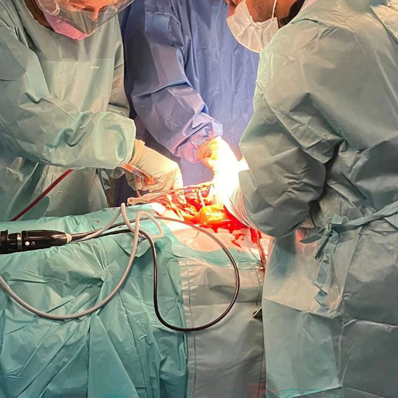 Realistic Surgical Abdominal Training Model for Medical Procedures