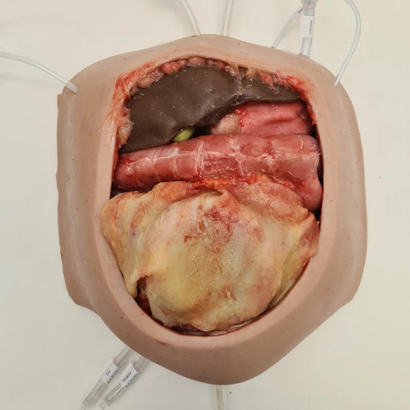 Realistic Surgical Abdominal Training Model for Medical Procedures