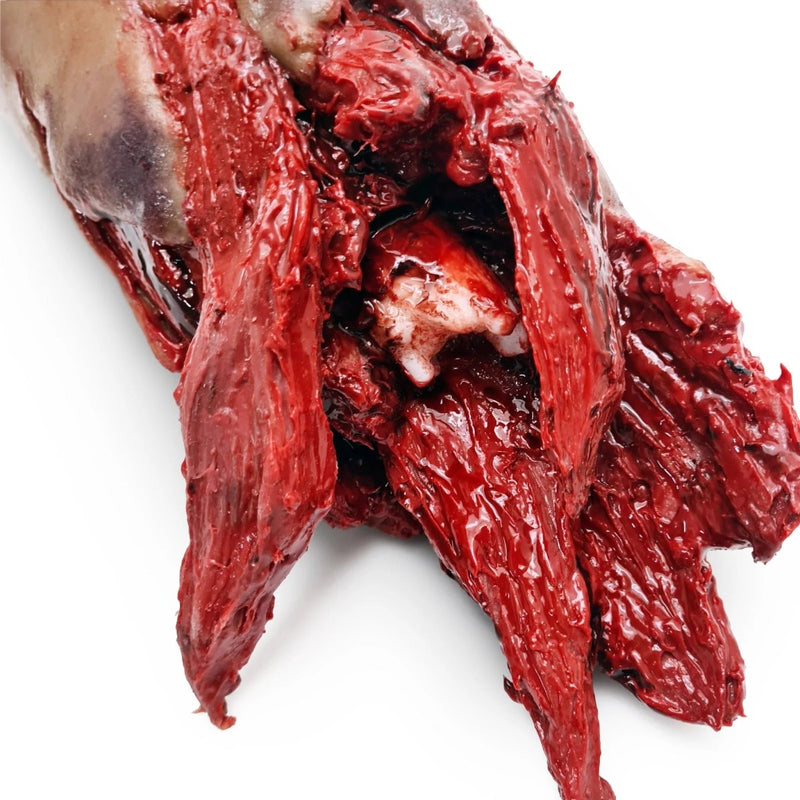 Realistic Tourniquet Training Leg with Large Wound for Haemorrhage Control