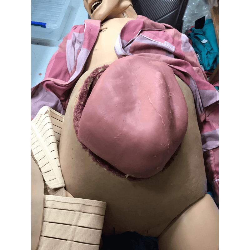 Realistic Uterus for Obstetrics Training and C-Section Simulation