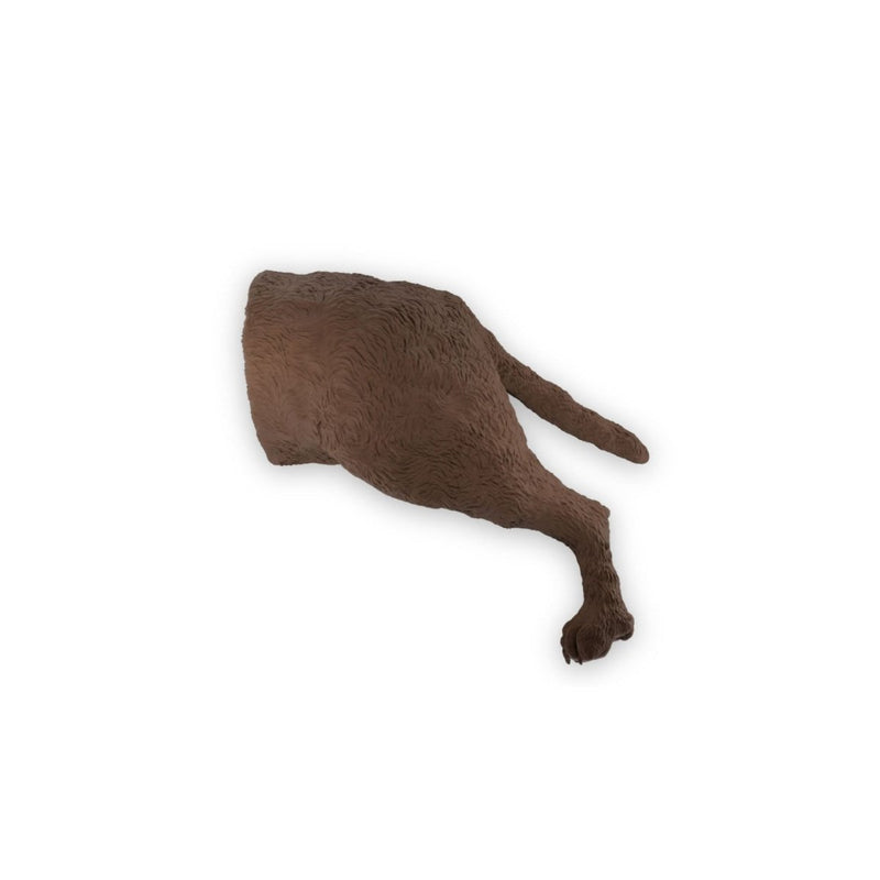 "Rex" Male Dog Catheterization Simulator