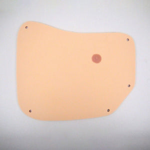 Skin for Thorax Right Chest