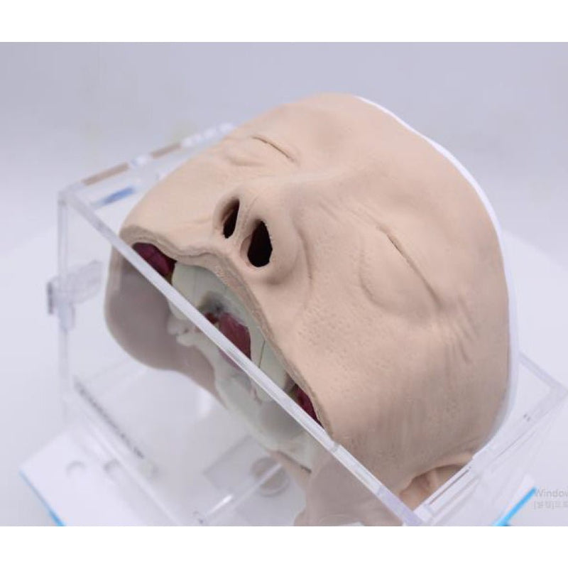 Skull Base Surgery Simulator