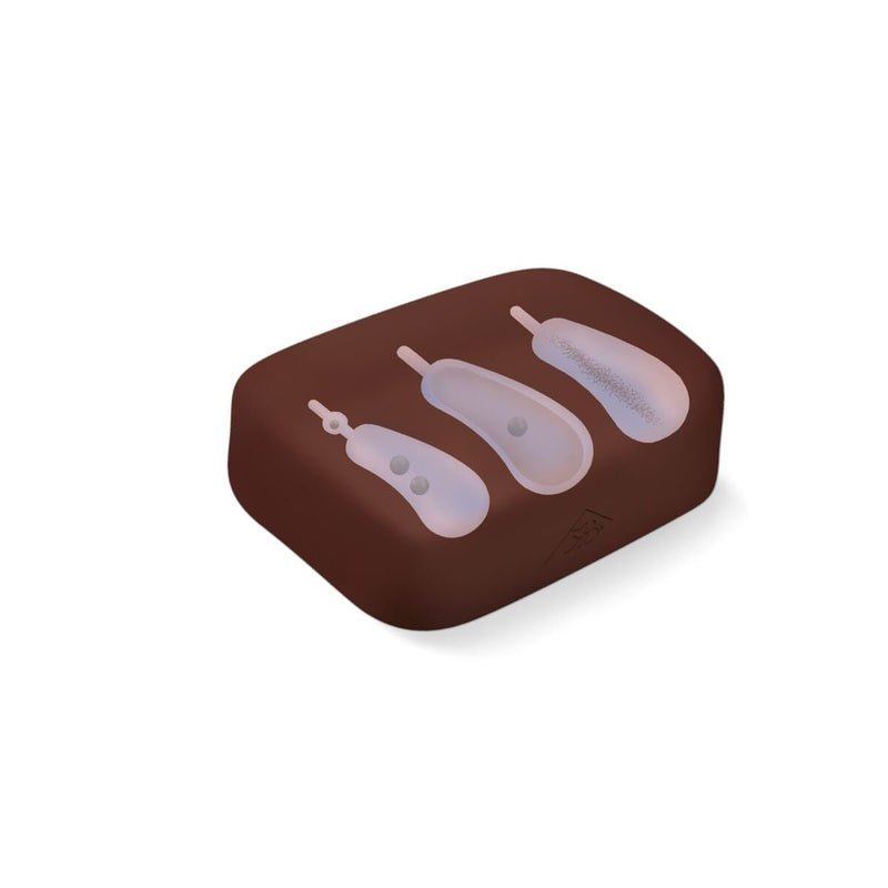 SONOtrain™ Ultrasound Gallbladder Model, Dark Skin