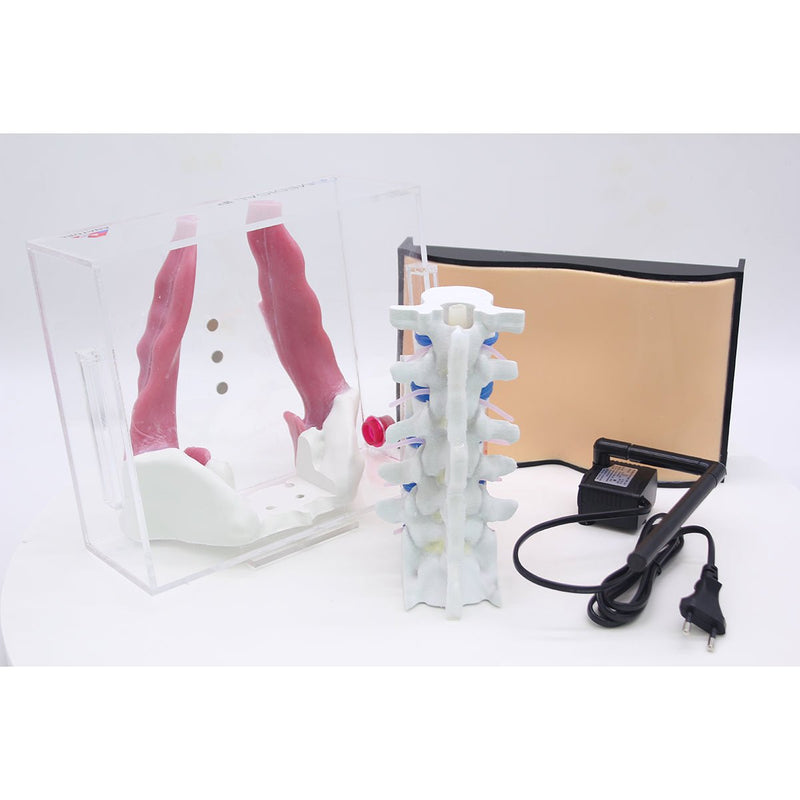 Spine Surgery Simulator For Surgical Training, Standard