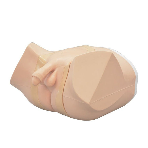 Suprapubic Catheter Care Simulator – GTSimulators.com