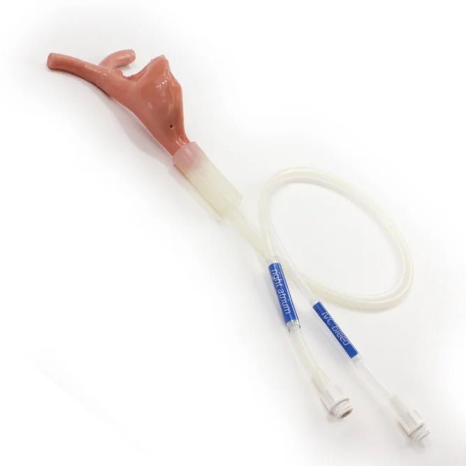 Surgical Sam Cardiothoracic Trainer