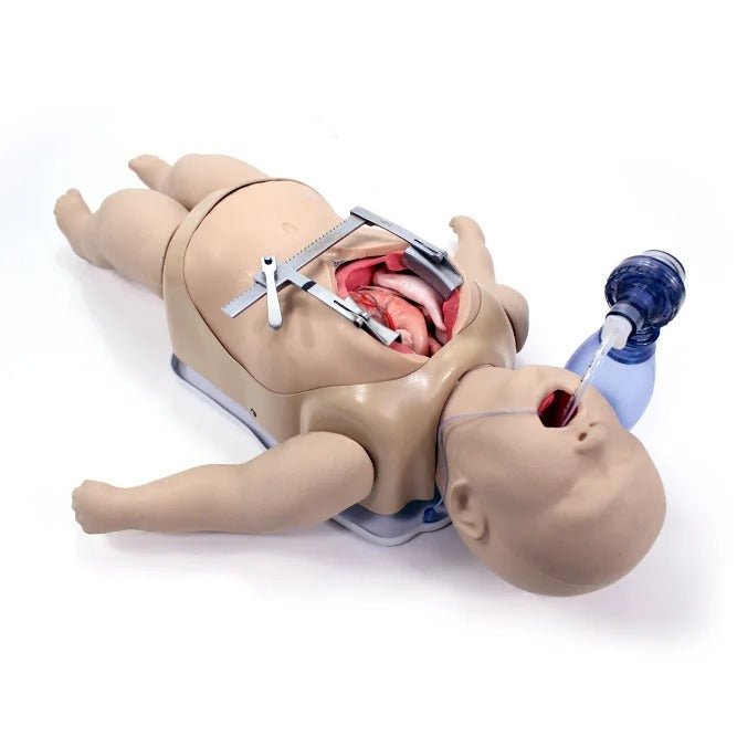 Surgical Sam Cardiothoracic Trainer