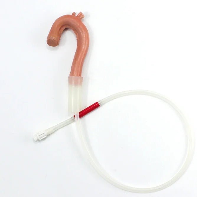 Surgical Sam Cardiothoracic Trainer