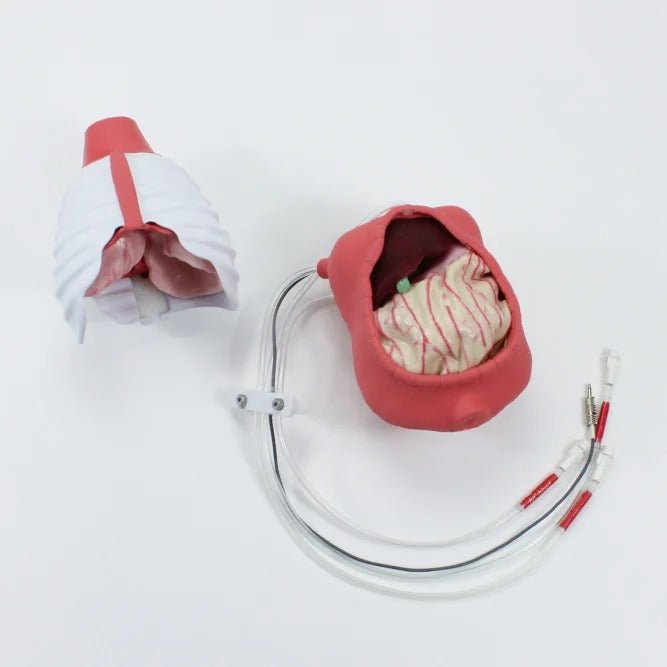Surgical Sam for General Surgery Training