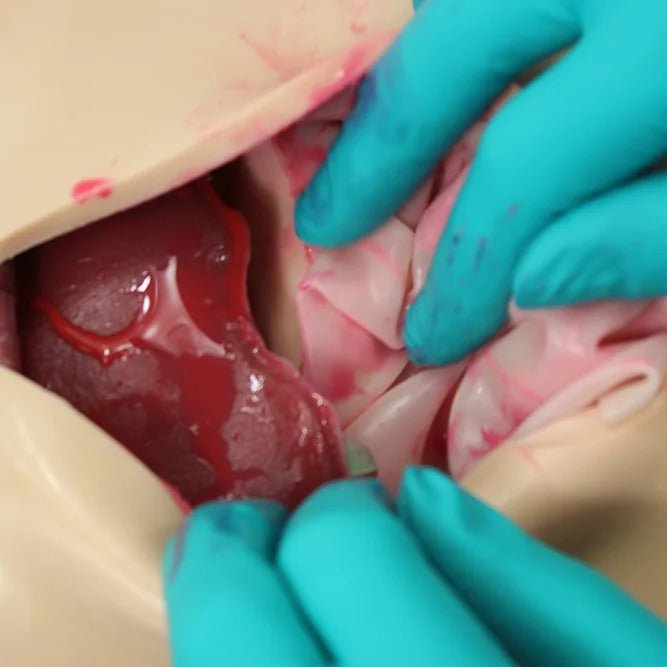 Surgical Sam for General Surgery Training