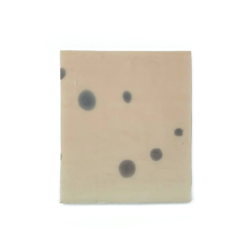 Suture Pad Pro for Veterinary Education