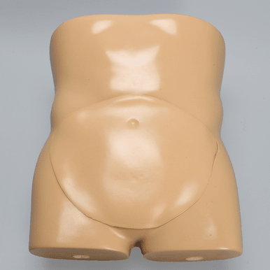 Torso for SI Procedures