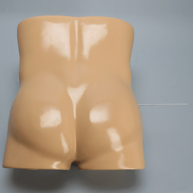 Torso for SI Procedures