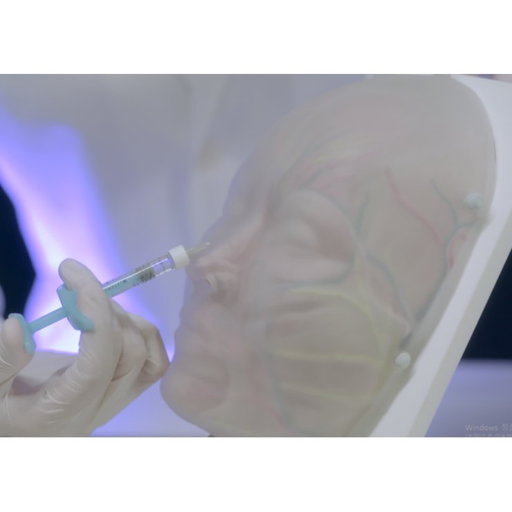 Toxin & Filler Injection Simulator, For Surgical Training