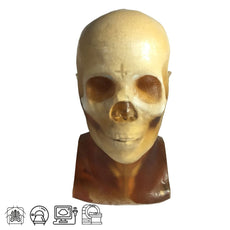Training, V1 Adult Head Phantom for X-Ray CT, Ultrasound and MRI