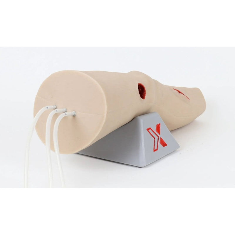 Trauma Leg Task Trainer