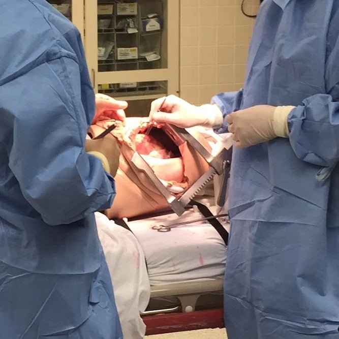 Trauma Thoracotomy Trainer