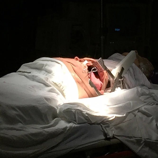 Trauma Thoracotomy Trainer