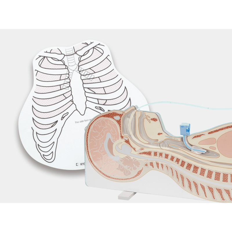 Tube Feeding Simulator Plus NG, OG and PEG