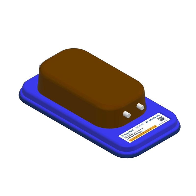 Ultrasound Simulator for Seldinger Technique