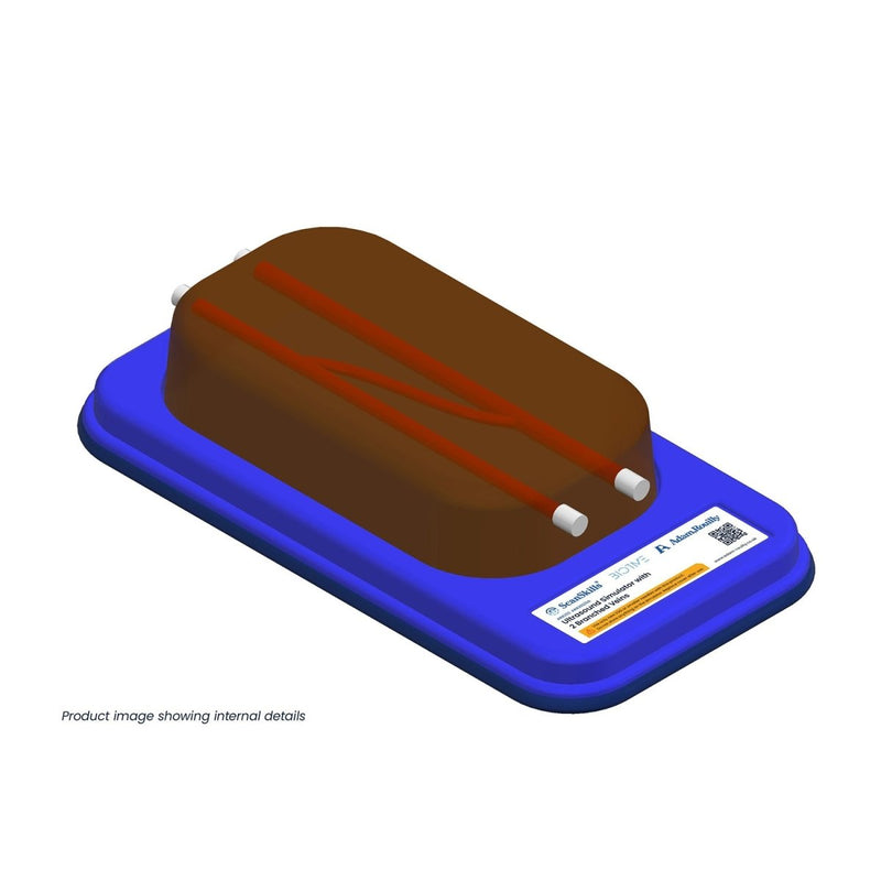 Ultrasound Simulator with 2 Branched Veins