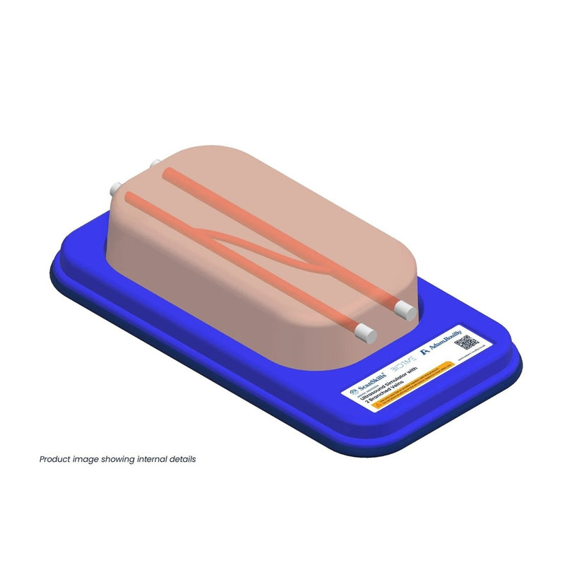 Ultrasound Simulator with 2 Branched Veins