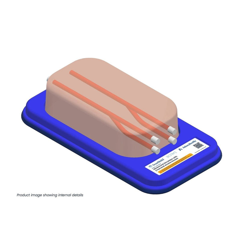Ultrasound Simulator with 2 Femoral Access Routes