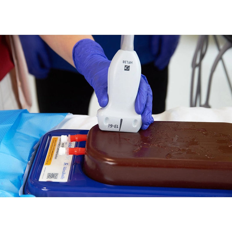 Ultrasound Simulator with 2 Femoral Access Routes