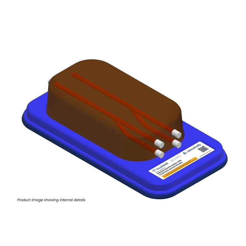 Ultrasound Simulator with 2 Femoral Access Routes