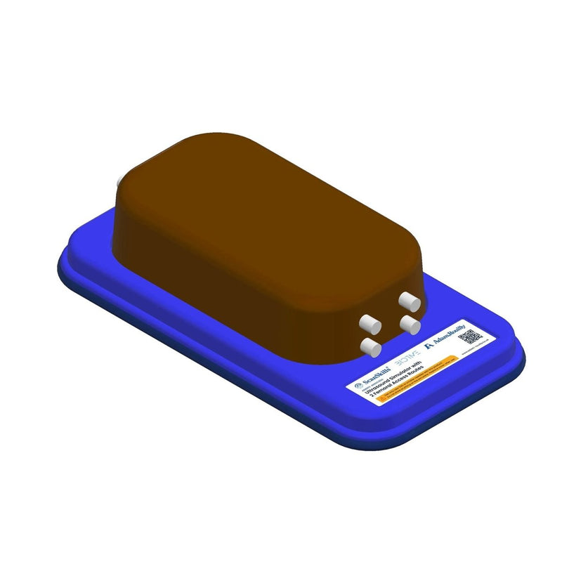 Ultrasound Simulator with 2 Femoral Access Routes