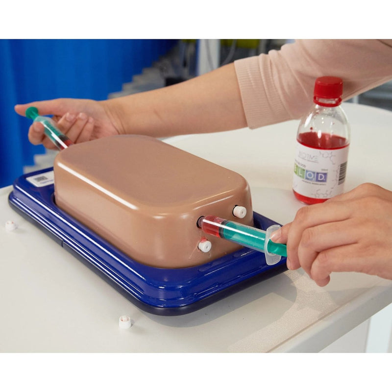 Ultrasound Simulator with 2 Femoral Access Routes