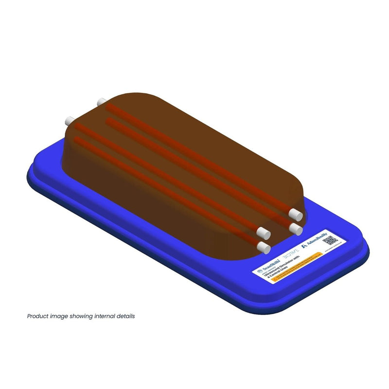 Ultrasound Simulator with 4 Central Lines