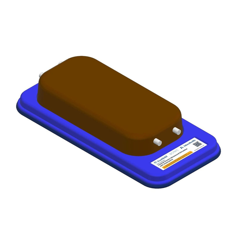 Ultrasound Simulator with Foreign Bodies