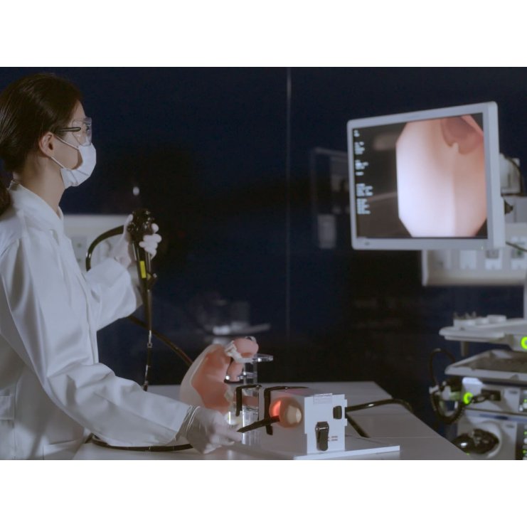 Upper Gastrointestinal Endoscopy Simulator, Advanced