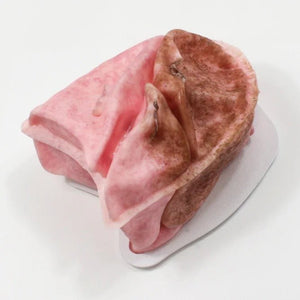 VATS Replacement Lung, Collapsed