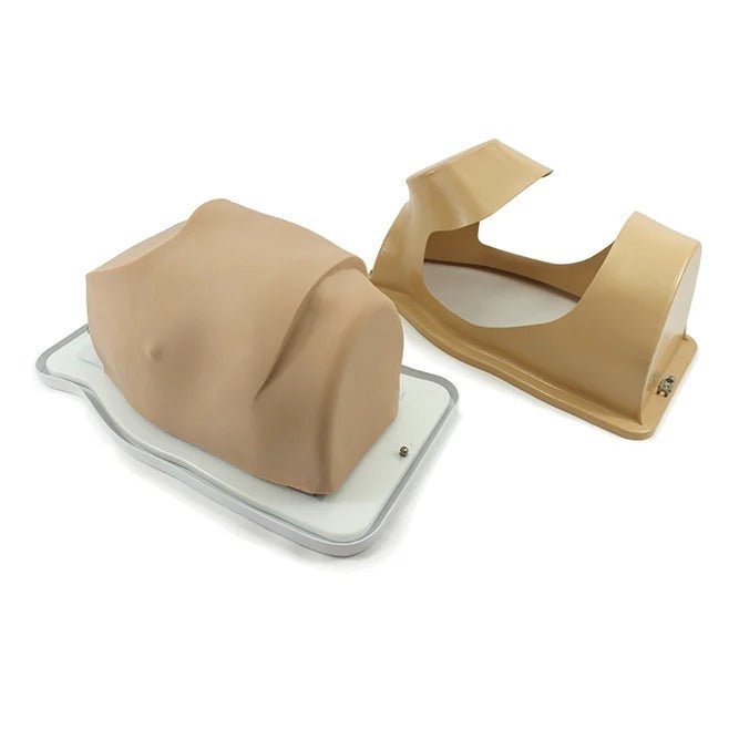 VATS Trainer for Explant, Left-Side