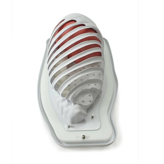 VATS Trainer for Explant, Left-Side