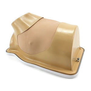 VATS Trainer for Explant, Left-Side