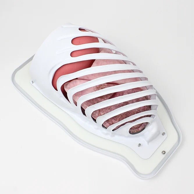 VATS Trainer with Mimetic Lung
