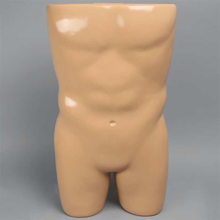 Vertebroplasty Trunk with Spine Model