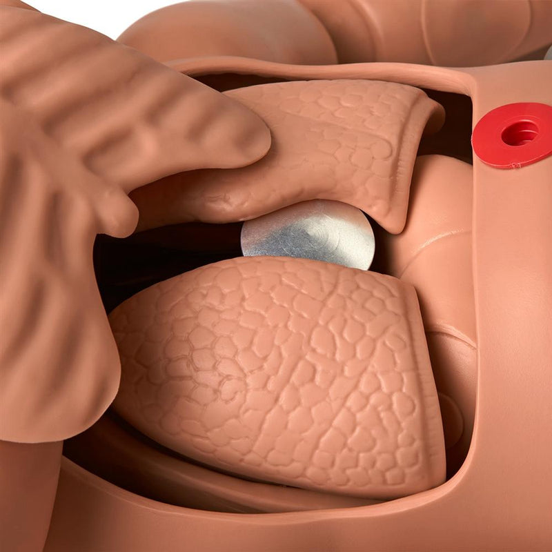 1-Year Multipurpose Patient Care and CPR Pediatric Simulator, Medium